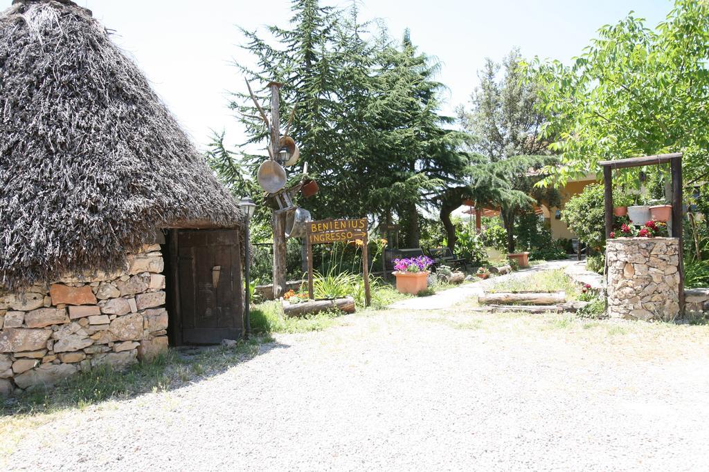 Agriturismo Ticci Seùlo Extérieur photo