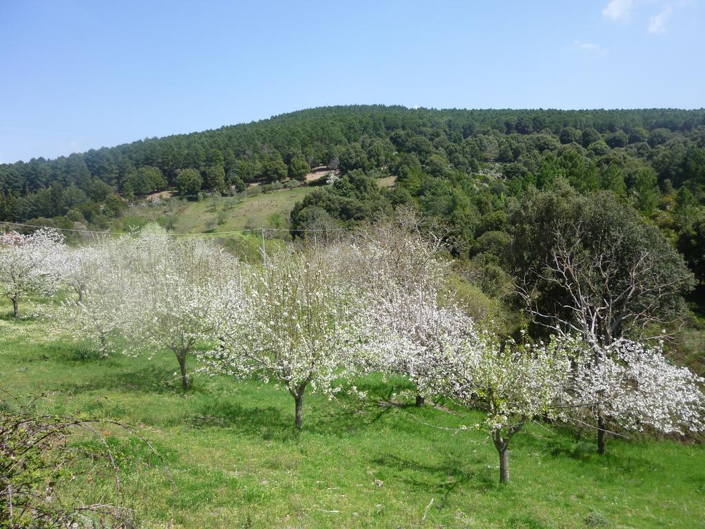 Agriturismo Ticci Seùlo Extérieur photo