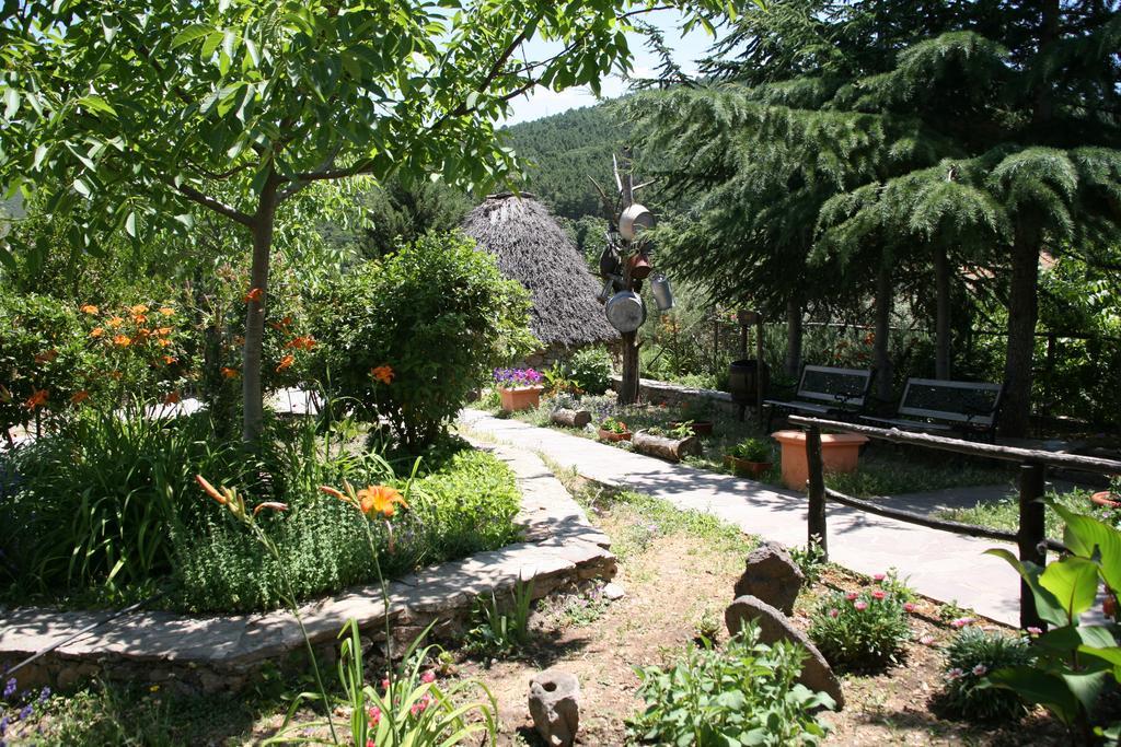 Agriturismo Ticci Seùlo Extérieur photo