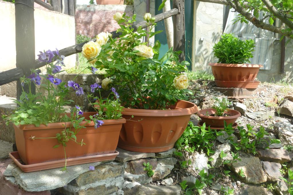 Agriturismo Ticci Seùlo Chambre photo