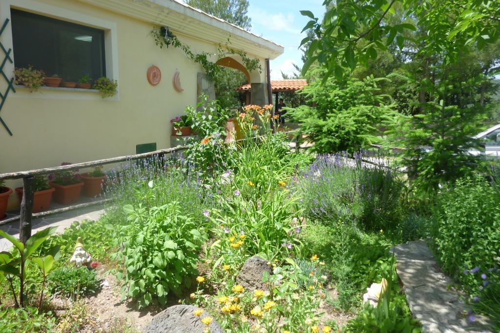 Agriturismo Ticci Seùlo Extérieur photo