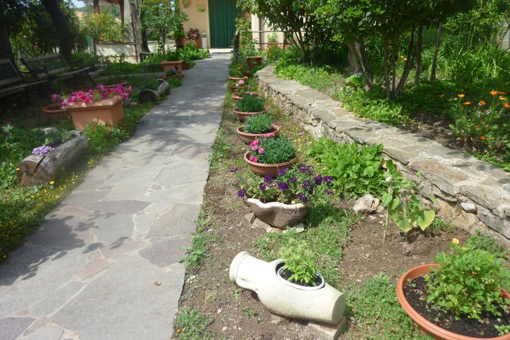 Agriturismo Ticci Seùlo Extérieur photo